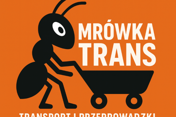 Ogłoszenie - Przeprowadzki i transport Szczecin - Szybko i tanio. Zdjęcie 1