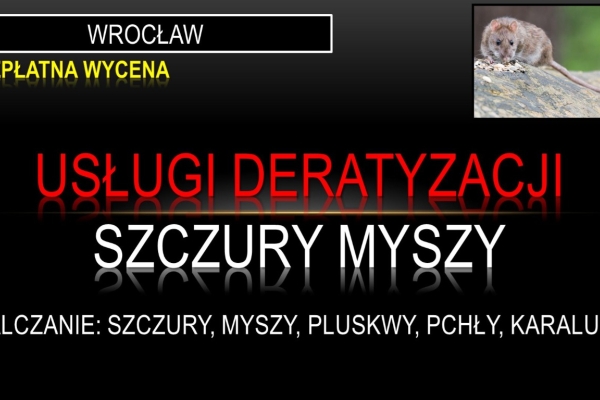 Ogłoszenie - Deratyzacja na szczury, tel. 504-746-203, Wrocław, cennik, zwalczanie. Zdjęcie 1
