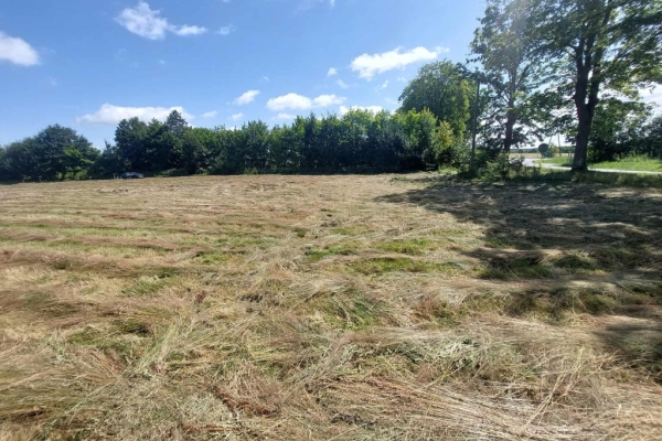 Ogłoszenie - Działka Budowlana (3000 m2) MEDIA (Kukułowo). Zdjęcie 1