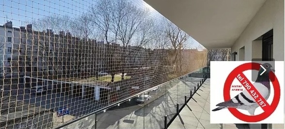 Ogłoszenie - siatka balkon okna przeciw gołębią,  dla kotka. Zdjęcie 1