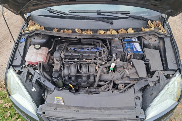 Ogłoszenie - Ford Focus. Zdjęcie 6