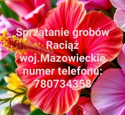 Ogłoszenie - Raciąż woj.Mazowieckie. Zdjęcie 1