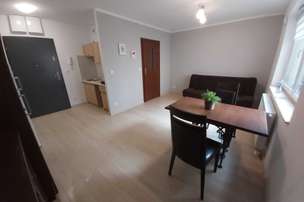 Ogłoszenie - 1pok, 25met, Okolice Białowieskiej WINDA/2020 (Wrocław). Zdjęcie 3