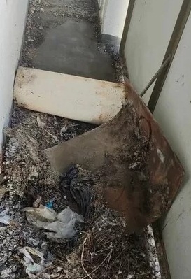 Ogłoszenie - siatka balkon okna przeciw gołębią,  dla kotka. Zdjęcie 2
