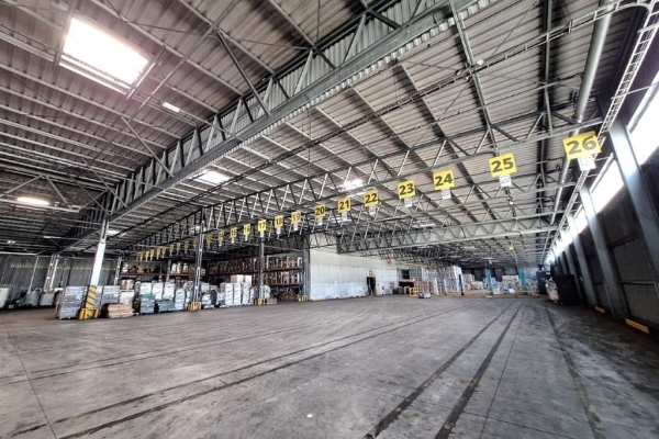 Ogłoszenie - Syndyk sprzeda spółkę Dancoal. Zdjęcie 10