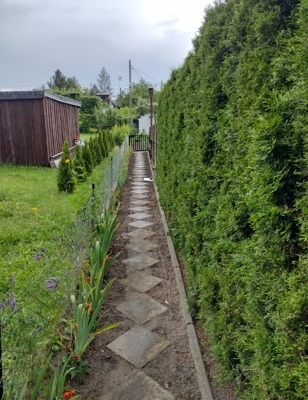 Ogłoszenie - Działka ROD z domkiem 2025 – Aleksandrów Kujawski. Zdjęcie 2