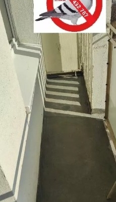 Ogłoszenie - siatka balkon okna przeciw gołębią,  dla kotka. Zdjęcie 3