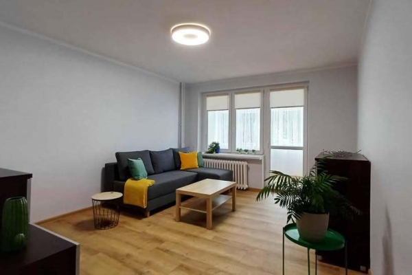 Ogłoszenie - 1pok, 30met, okolice Sienkiewicza PO REMONCIE (Wrocław). Zdjęcie 3