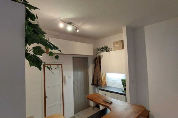 Ogłoszenie - 1pok, 24met, Stare Miasto PIWNICA (Wrocław). Zdjęcie 4