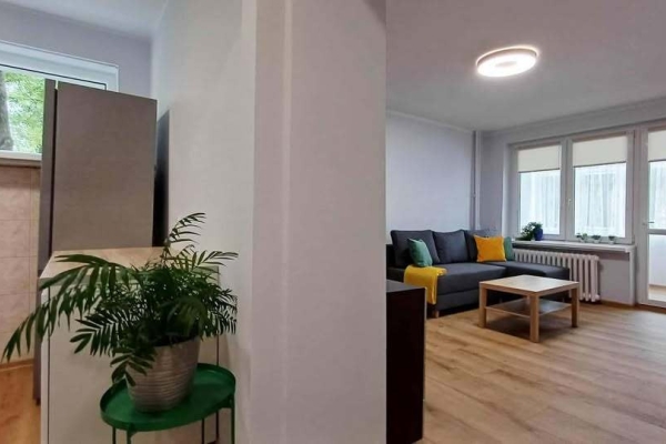 Ogłoszenie - 1pok, 30met, okolice Sienkiewicza PO REMONCIE (Wrocław). Zdjęcie 4