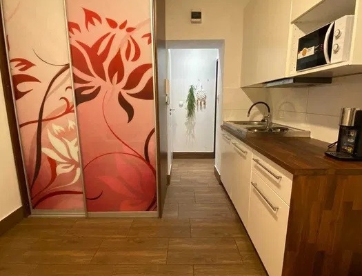 Ogłoszenie - 1pok, 20met, okolice Trzebnickiej BALKON (Wrocław). Zdjęcie 4