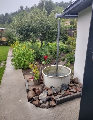 Ogłoszenie - Działka ROD z domkiem 2025 – Aleksandrów Kujawski. Zdjęcie 6