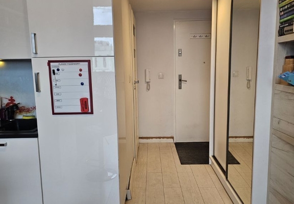 Ogłoszenie - 1pok, 37met, okolice Żiżki ANTRESOLA/BALKON/WINDA (Wrocław). Zdjęcie 6