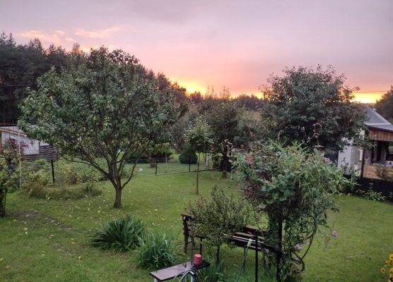 Ogłoszenie - Działka ROD z domkiem 2025 – Aleksandrów Kujawski. Zdjęcie 8