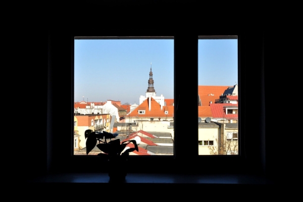 Ogłoszenie - 2pok, 37met, Okolice Kuźniczej BALKON/KOMÓRKA/WINDA (Wrocław). Zdjęcie 8