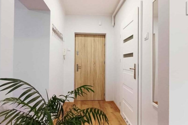 Ogłoszenie - 1pok, 30met, okolice Sienkiewicza PO REMONCIE (Wrocław). Zdjęcie 8