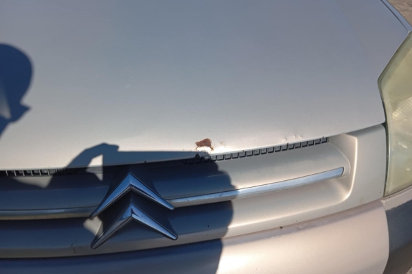 Ogłoszenie - Citroen Berlingo Multispace 19.D. Zdjęcie 3