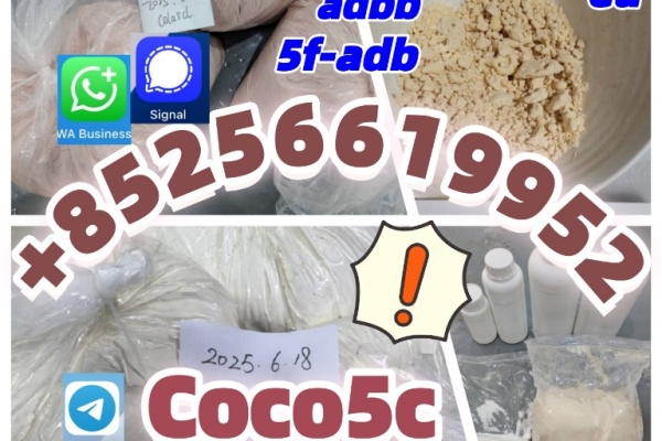 Ogłoszenie - RAW MATERIALS 5CLADBA ADBB ADB-BUTINACA 5CLADBA PRECURSOR. Zdjęcie 1