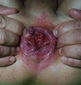 Ogłoszenie - Para szuka pasywka, lub pary z lokalem. Zdjęcie 1