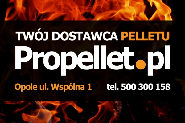Ogłoszenie - Pellet Task 6mm Propellet24 Opole. Zdjęcie 5