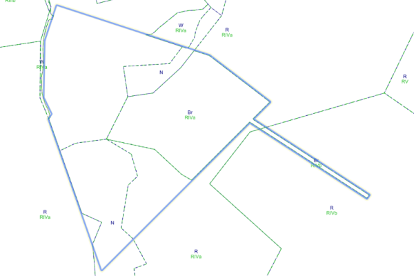 Ogłoszenie - Nieruchomość siedliskowa 20.100m2. Zdjęcie 3