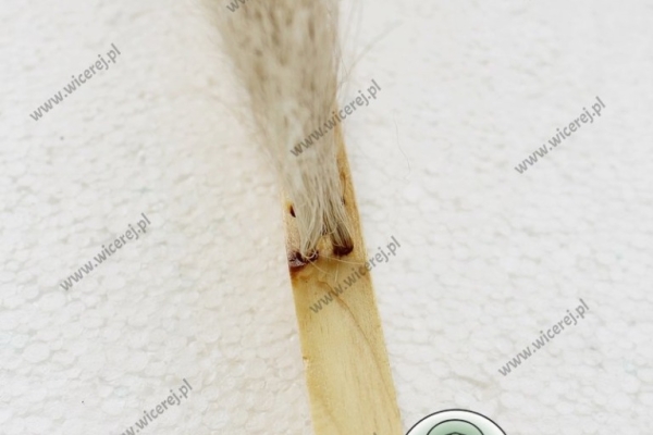 Ogłoszenie - Maxi Zmiotka Duża 2 rzędowa naturalne włosie miotełka szczotka do pszczół. Zdjęcie 7
