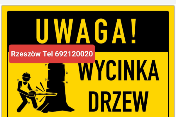 Ogłoszenie - Wycinka drzew podcinanie gałęzie Rzeszów tel 692120020. Zdjęcie 1