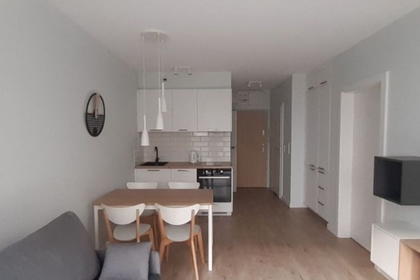 Ogłoszenie - 2pok, 39met, Okolice Młodych Techników TARAS/GARAŻ (Wrocław). Zdjęcie 2