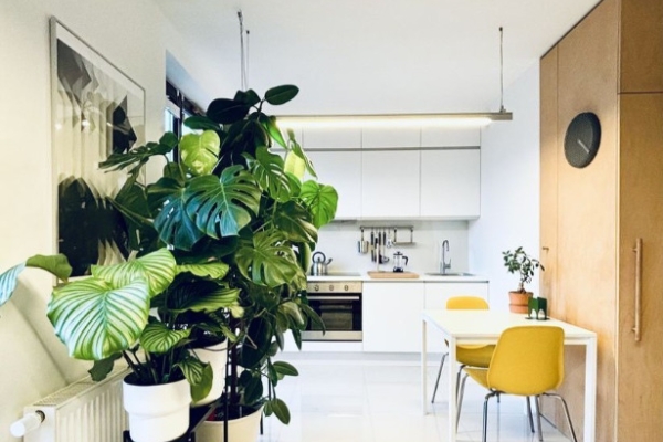 Ogłoszenie - 1pok, 33met, okolice Traugutta ANTRESOLA/TARAS/WINDA (Wrocław). Zdjęcie 2