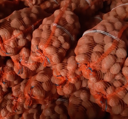 Ogłoszenie - Sprzedam ziemniaki jadalne Bellarosa bardzo smaczne pakowane worek 15 kg. Zdjęcie 2