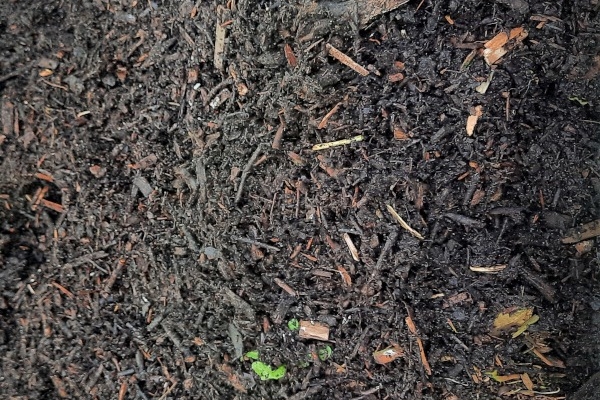 Ogłoszenie - Substrat Humusowy z Kompostowanych Pozostałości Pozrębowych. Zdjęcie 3