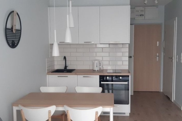 Ogłoszenie - 2pok, 39met, Okolice Młodych Techników TARAS/GARAŻ (Wrocław). Zdjęcie 3