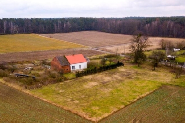 Ogłoszenie - 2pok, 182met, Dom wolnostojący PIWNICA/OGRÓD (Radzieszyn). Zdjęcie 6