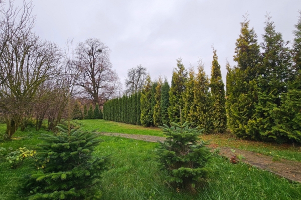 Ogłoszenie - 2pok, 182met, Dom wolnostojący PIWNICA/OGRÓD (Radzieszyn). Zdjęcie 7