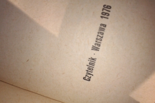 Ogłoszenie - OSTATNIE NOTATKI MARTINA BORMANNA. Zdjęcie 5