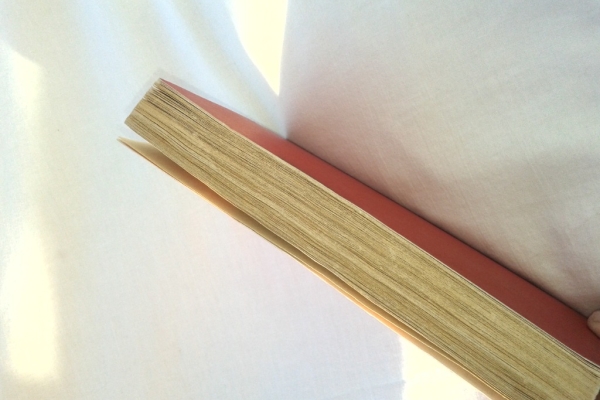 Ogłoszenie - OSTATNIE NOTATKI MARTINA BORMANNA. Zdjęcie 4