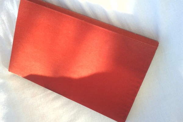 Ogłoszenie - OSTATNIE NOTATKI MARTINA BORMANNA. Zdjęcie 3