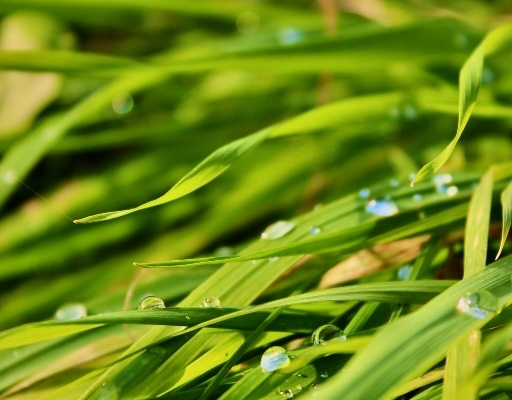 Ogłoszenie - Sesje fotograficzne. Zdjęcie 6