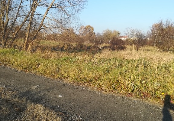 Ogłoszenie - działka budowlana Jaworznia (k .Kielc). Zdjęcie 5