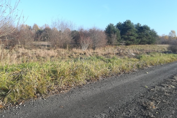 Ogłoszenie - działka budowlana Jaworznia (k .Kielc). Zdjęcie 6