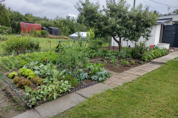 Ogłoszenie - Działka ROD z domkiem 2025 – Aleksandrów Kujawski. Zdjęcie 4