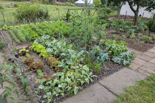 Ogłoszenie - Działka ROD z domkiem 2025 – Aleksandrów Kujawski. Zdjęcie 3