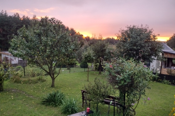 Ogłoszenie - Działka ROD z domkiem 2025 – Aleksandrów Kujawski. Zdjęcie 1