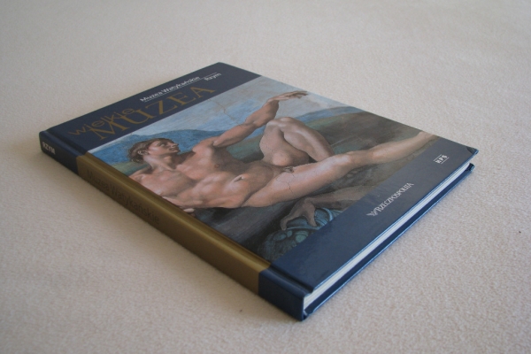 Ogłoszenie - Muzea Watykańskie Rzym – cykl Wielkie muzea, Barbara Furlotti. Zdjęcie 3