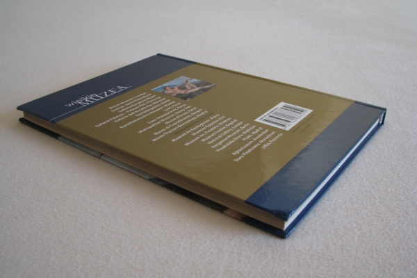 Ogłoszenie - Muzea Watykańskie Rzym – cykl Wielkie muzea, Barbara Furlotti. Zdjęcie 4