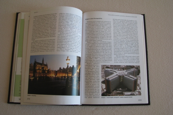 Ogłoszenie - Historia Unii Europejskiej - Łaptos, Prażuch, Pytlarz. Zdjęcie 9