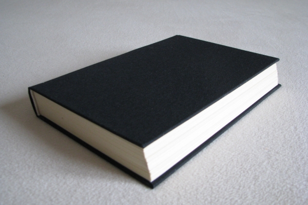 Ogłoszenie - Szelmostwa niegrzecznej dziewczynki - Mario Vargas Llosa. Zdjęcie 4