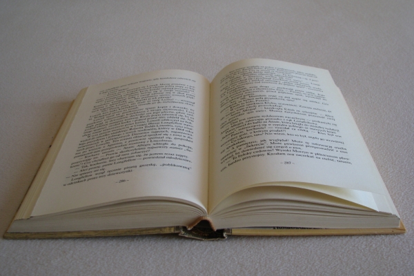 Ogłoszenie - Klub Dantego – Matthew Pearl – Wydanie I, twarda oprawa. Zdjęcie 6