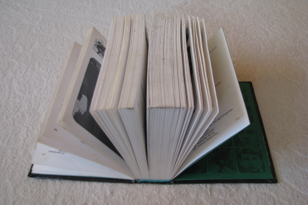 Ogłoszenie - Sylwetki radzieckiego ekranu Galina Dołmatowska, Irina Szyłowa. Zdjęcie 6