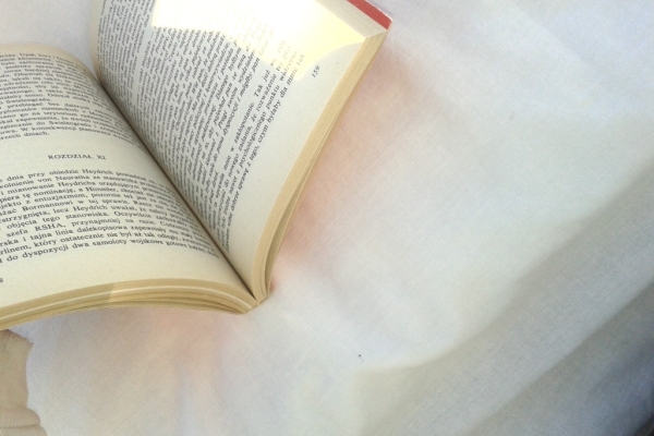 Ogłoszenie - WALTER SCHELLENBERG WSPOMNIENIA. Zdjęcie 5